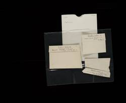 file details