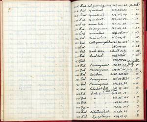 file details