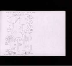 file details