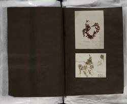 file details