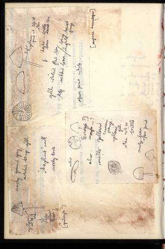 file details