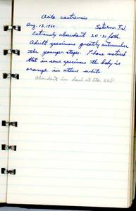 file details