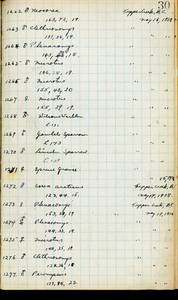 file details