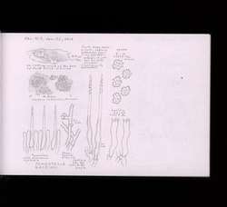 file details