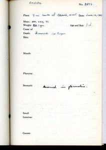 file details