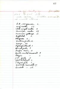 file details