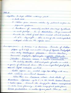 file details