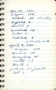 file details