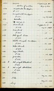 file details