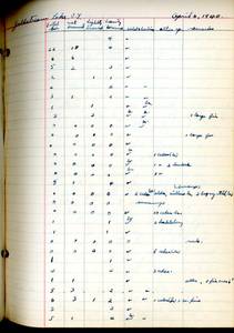 file details