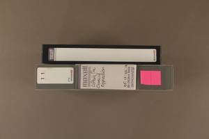 file details
