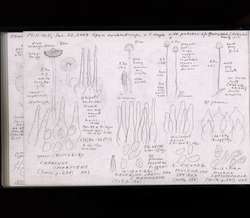 file details