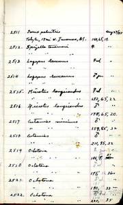 file details