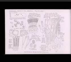 file details