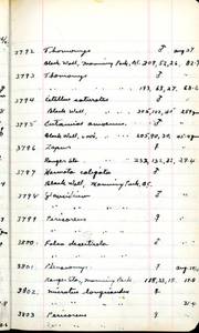 file details