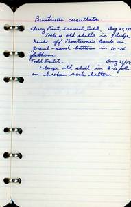 file details