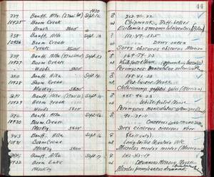 file details