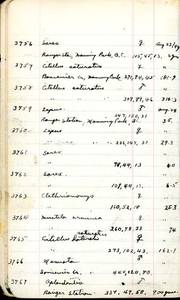 file details