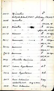 file details