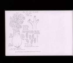 file details