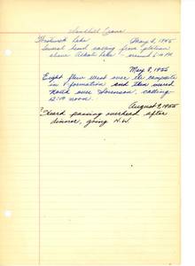 file details