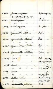 file details