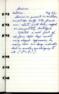 file details
