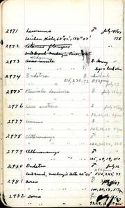 file details
