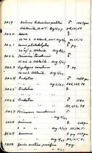 file details