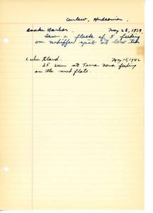 file details