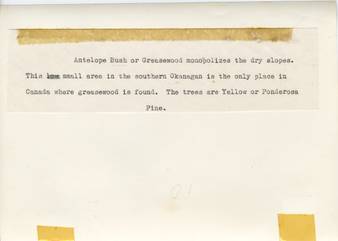 file details