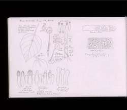 file details