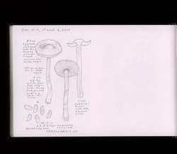 file details
