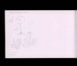 file details