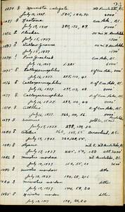 file details