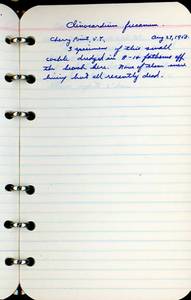 file details