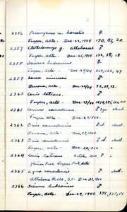 file details