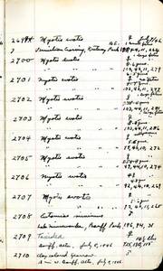 file details