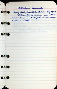 file details