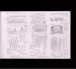 file details
