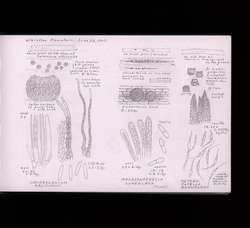 file details