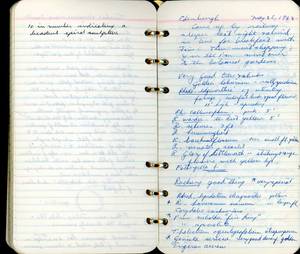 file details