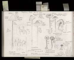 file details