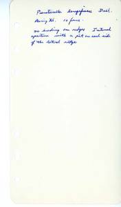 file details