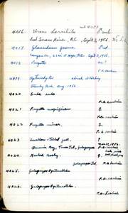 file details