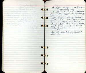 file details