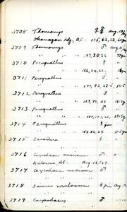 file details