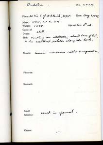 file details