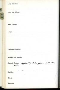 file details