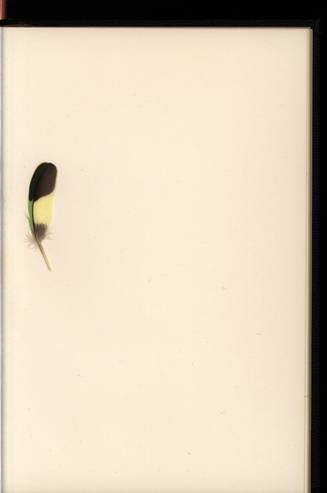 file details
